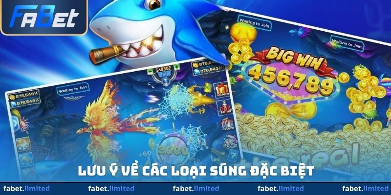 Lưu ý về các loại súng đặc biệt